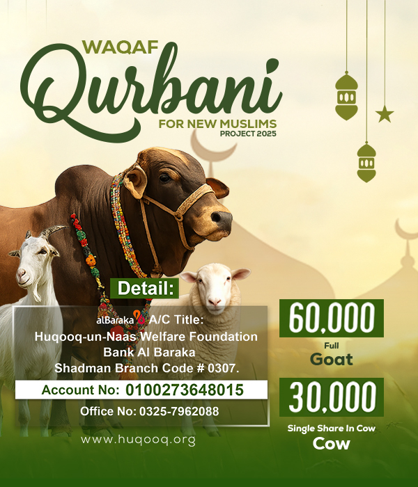 Qubani-Banner---600x700